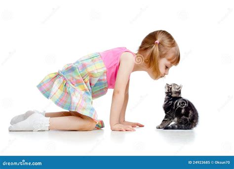 Enfant Dr Le Jouant Avec Le Chaton Cossais Image Stock Image Du