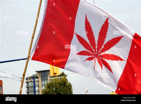 Canadian Flag With Marajuana Leaf Print Pro Legalisation Of Cannabis