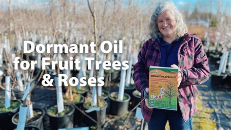 Dormant Oil For Fruit Trees And Roses Youtube