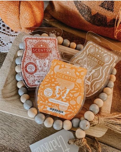 Pin By Kimberly Paige On Scentsy Scentsy Scentsy Bars Scentsy Wax Bars