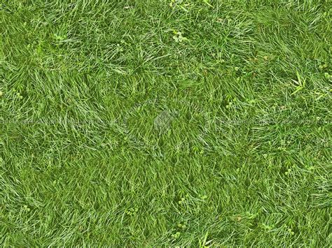 Green Grass Texture Seamless 13036