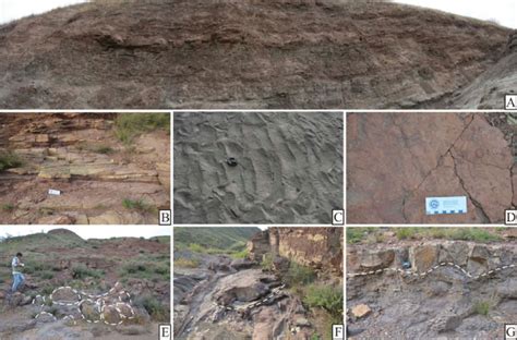 Photographs Showing Features Of The Lacustrine Deposits A Red