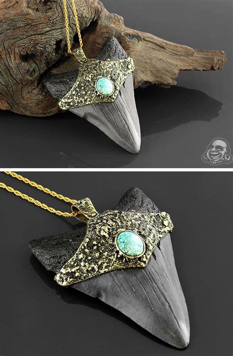 Megalodon Tooth Necklace | Fossil jewelry, Tooth necklace, Megalodon tooth