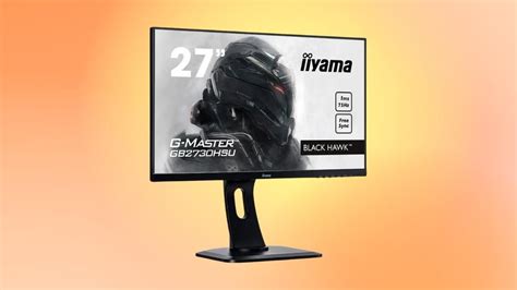 French Days jolie remise sur l écran de PC gamer signé Iiyama chez