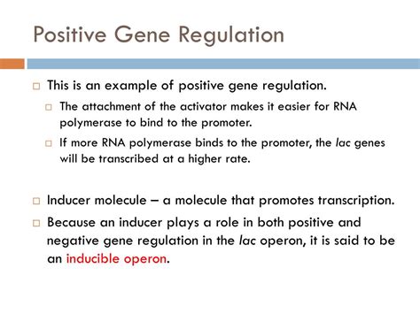 Ppt Molecular Genetics Powerpoint Presentation Free Download Id