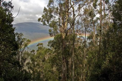 Tasmanian Wilderness - UNESCO World Heritage Site | National parks, Unesco world heritage site ...