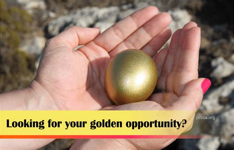 Looking For Your Golden Opportunity? - PCCCA