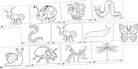 EYFS Minibeasts Colour By Number Worksheets Teacher Made