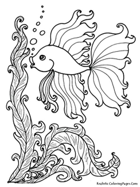 Realistic Ocean Animals Coloring Pages