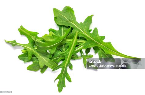 Daun Arugula Hijau Segar Terisolasi Pada Latar Belakang Putih Tampilan