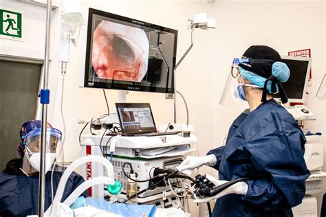 Qu Tipos De Endoscopias Existen Endoscopia Digestiva En Ieced