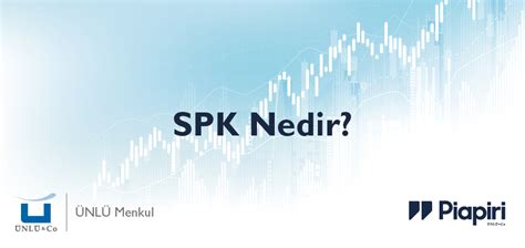 Spk Sermaye Piyasas Kurulu Nedir Nl Menkul