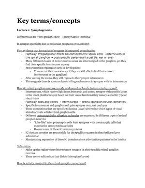 Bisc Study Guide Key Final Bisc Module I Key B E C