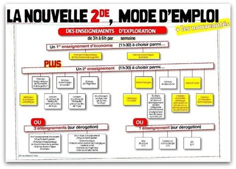 Les Options De Seconde Du Lycée De Leceb