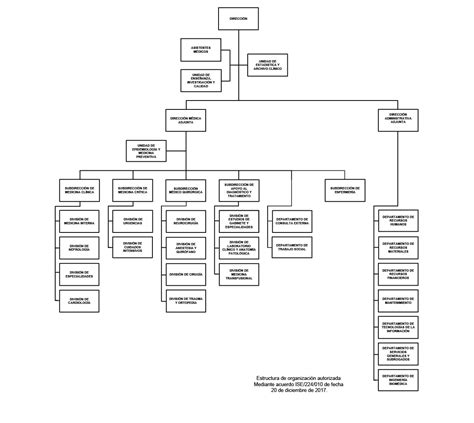Organigrama Centro Médico Lic Adolfo López Mateos
