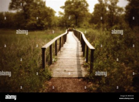 ILLINOIS BEACH STATE PARK, ZION, ILLINOIS Stock Photo - Alamy