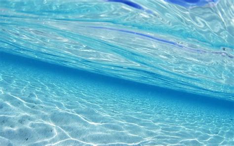 Acqua di mare: un sostituto sicuro del plasma sanguigno ...