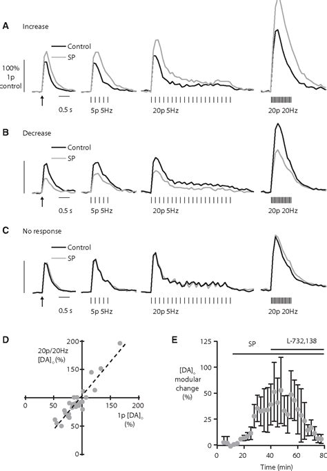 Figure From Substance P Weights Striatal Dopamine Transmission