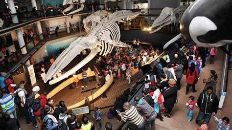 Cape Town museums suitable for an outing with the whole family