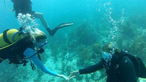 Scuba Diving St Thomas At Coki Beach YouTube