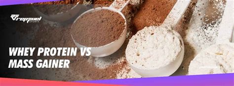 Whey Protein Vs Mass Gainer Unveiling The Key Differences