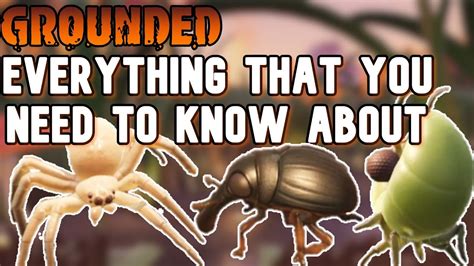 Grounded Survival Guide All Insect Info Pt 1 Small Size Insects Youtube