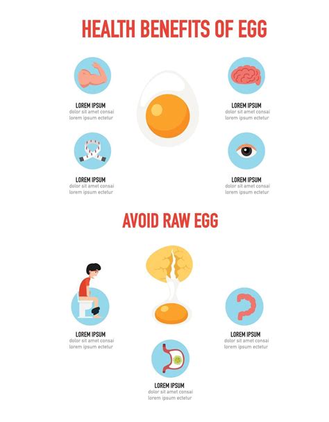 The Benefits Of Cooked Egg Infographic Vector Illustration