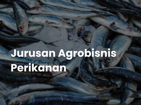 Jurusan Agrobisnis Perikanan Info Kuliah Dan Prospek Kerja