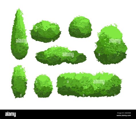 Vector Illustration Set Of Garden Green Bushes And Decorative Trees