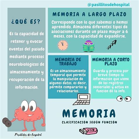 Memoria Sensorial Memoria A Corto Plazo Y Memoria A Largo Plazo