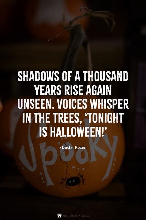 50 Spooky (And Funny) Halloween Quotes - Bright Drops