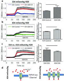 Elevated TRPV4 Expression Increased TRPV4 Signalling In NP Cells