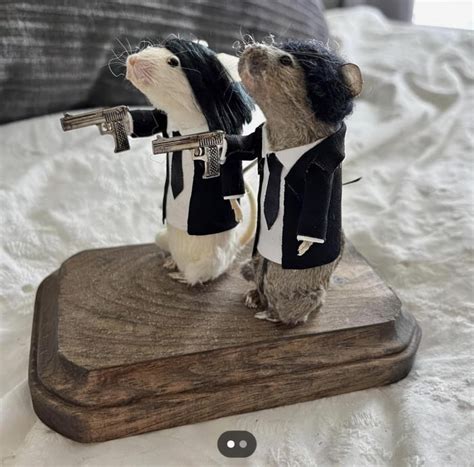 Pulp Fiction Taxidermy Mice 9GAG