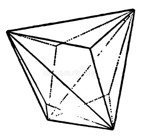 triakis stock illustrations  triakis stock illustrations vectors