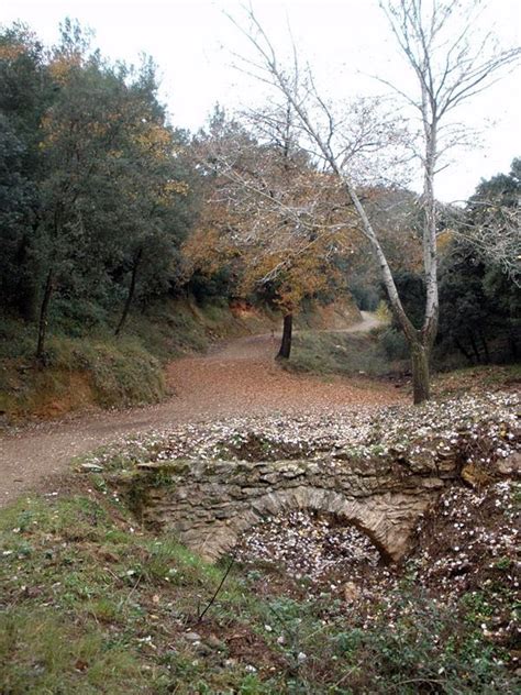 Franclips De Sant Feliu De Llobregat A Molins De Rei Per La Riera De