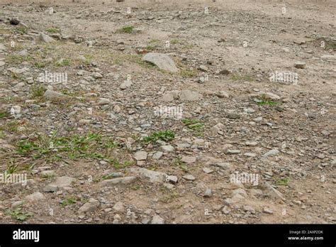 Soil Inlays Hi Res Stock Photography And Images Alamy