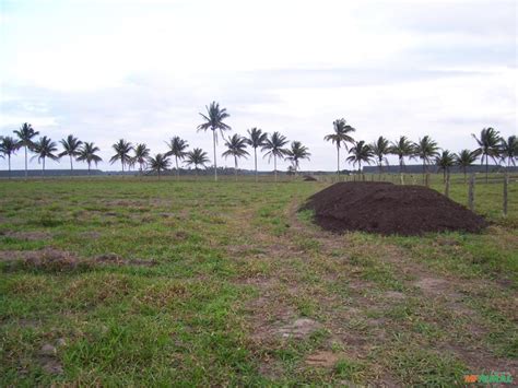 Maquina Fibra Fertilizantes Agr Colas Pre O Venda Compra