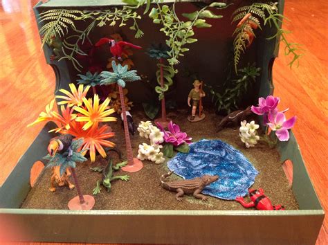 Rainforest Diorama Diorama Ideas Pinterest