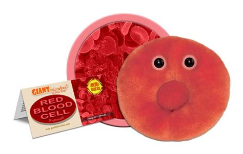 Giant Microbes Red Blood Cell Gmus Pd 0610 The Book Store At Western