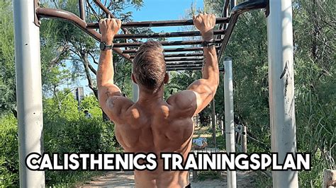 wichtigsten Calisthenics Übungen in einem Trainingsplan Meine Top