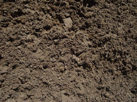 Loam Topsoil Haluchs Landscaping Products