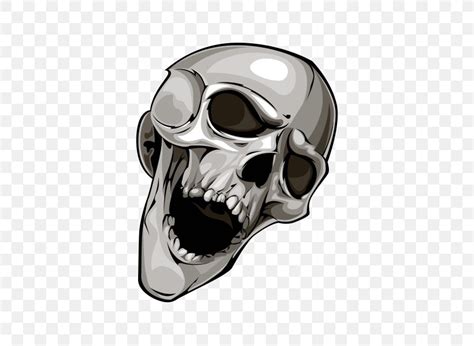 Vector Graphics Skull Royalty Free Illustration Clip Art PNG