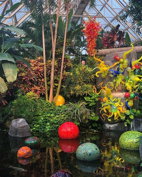 Chihuly Celebrating Nature” At Franklin Park Conservatory In Columbus