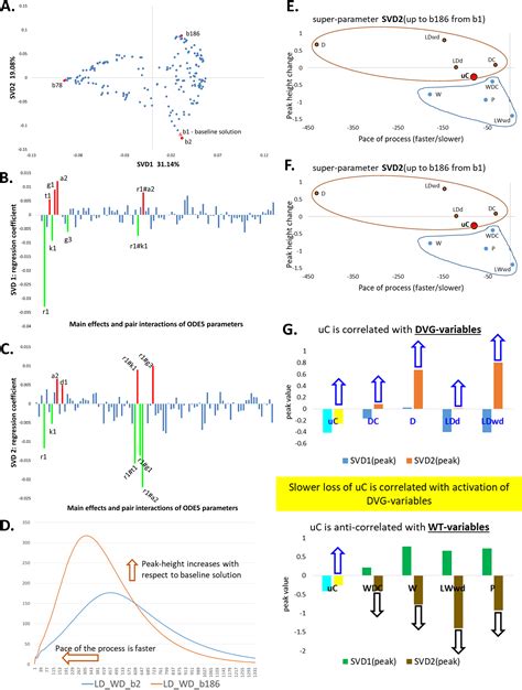 Intra And Inter Cellular Modeling Of Dynamic Interaction Between Zika