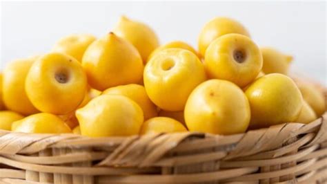 es el nanche beneficios de  fruto ideal  combatir las arrugas