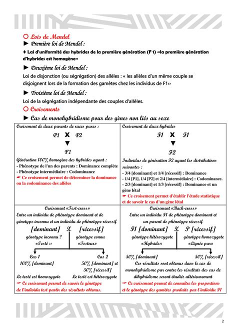 Solution G N Tique Mendel Resum Studypool