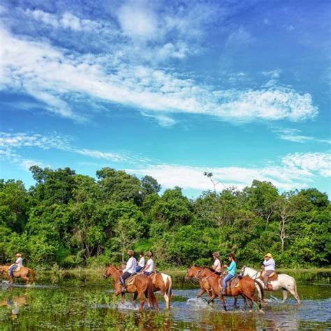 Pacotes De Viagem Para Pantanal Viagem Para Pantanal Freeway