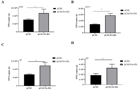 Genes Free Full Text Characterization Of The Effects Of Host P