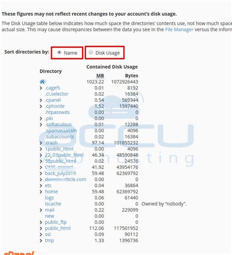 How To Check CPanel Disk Usage From CPanel Disk Usage Tool CPanel