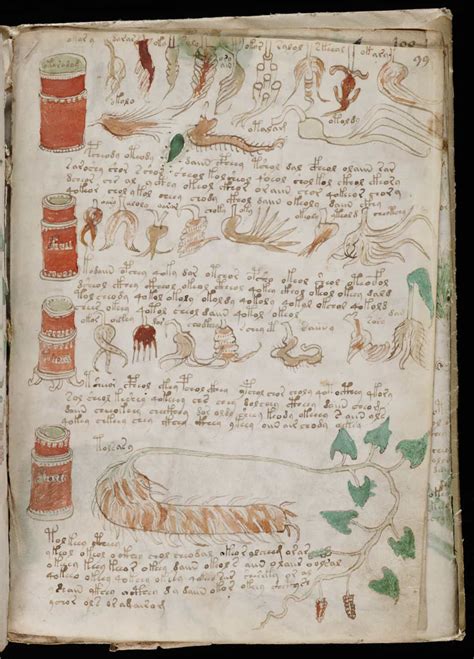 The Mystery Of The Voynich Manuscript Blog 360 On History